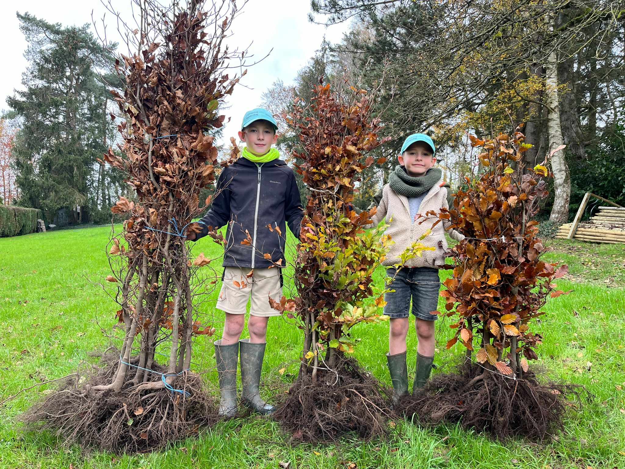 hetre 80/100 125/150 et 150/+