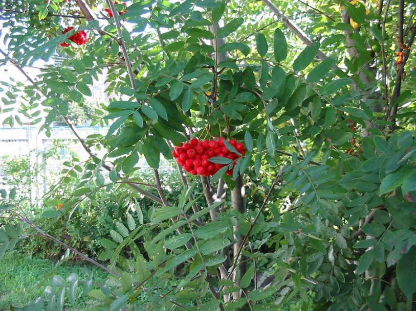 (c) krzysztof p. jasiutowicz