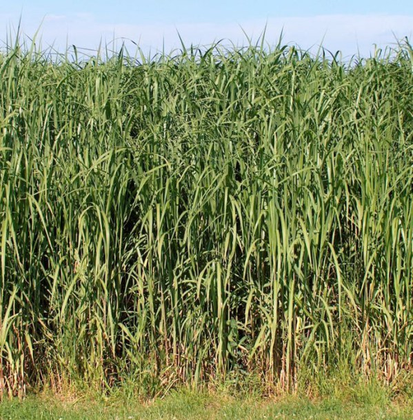 (c) markushagenlocher