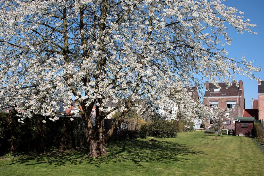 (c) jean pol grandmont