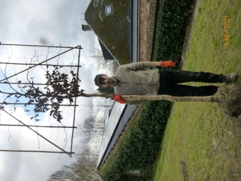fagus-(2)-boutique